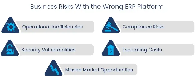 visual list of business risks with the wrong ERP system
