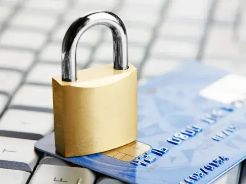 ERP systems provide better cardholder and customer data security