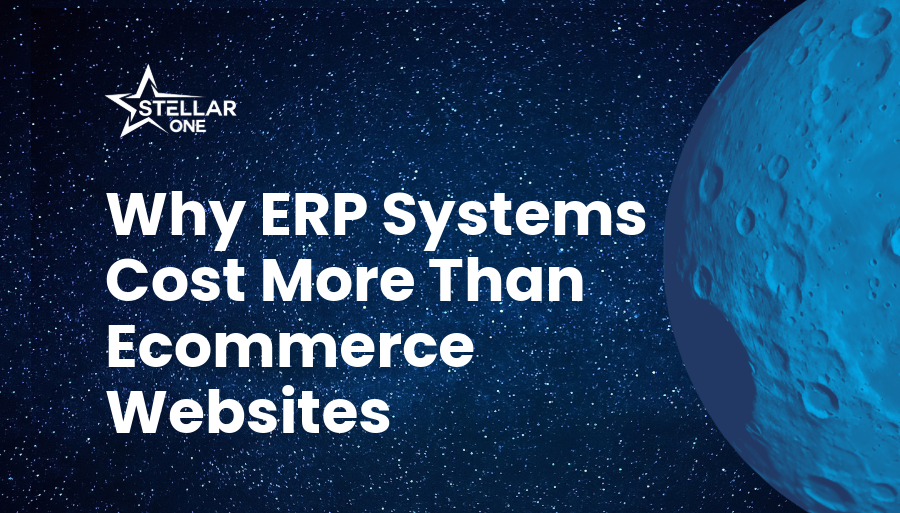 Why eCommerce Websites Cost Less Than ERP Systems